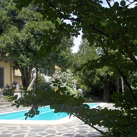 Santa Chiara * 레사